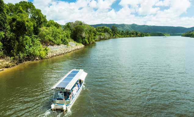 a Crocodile Cruise River Tour on a Solar Whisper boat, Daintree River
