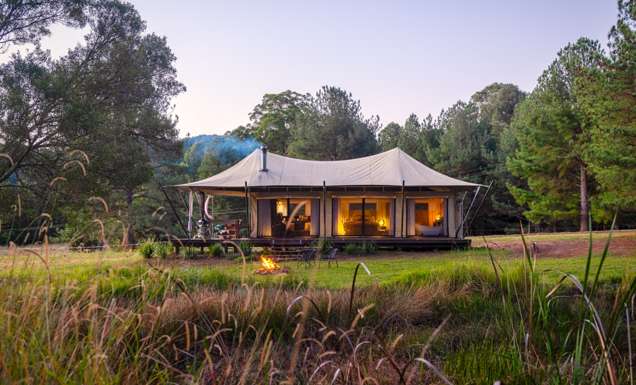 A luxe glamping tent sitting on grass in bushland