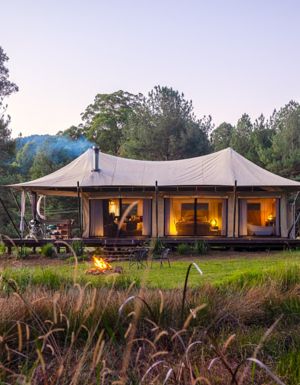 A luxe glamping tent sitting on grass in bushland