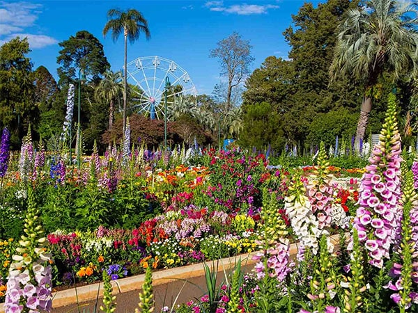 Toowoomba Carnival of Flowers at Queens Park