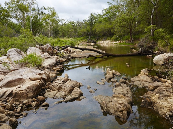 Crows Nest National Park boulders