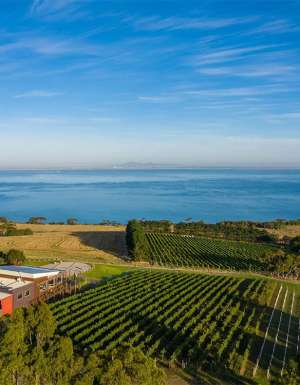 Geelong wineries