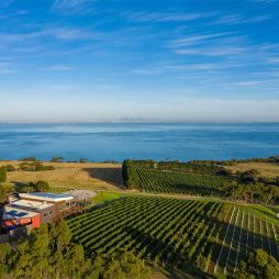 Geelong wineries