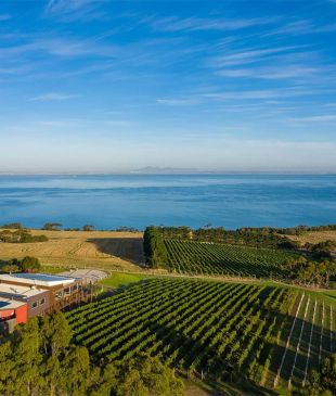 <p><i>The best wineries</i> in <strong>Geelong</strong> and the <strong>Bellarine Peninsula</strong></p>
