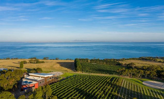 Geelong wineries