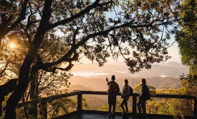 Point Lookout New England National Park