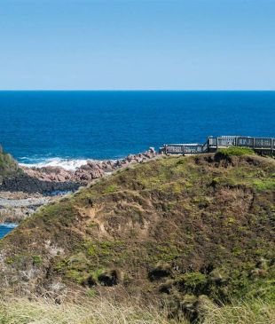 <p><i>A guide to</i> <strong>Phillip Island’s</strong> best walks</p>
