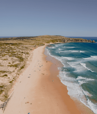<p><i>A guide</i> to <strong>Phillip Island’s</strong> beaches for your next day out</p>
