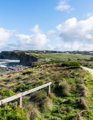 a man walking with a dog along the George Bass Coastal Walk, Phillip Island