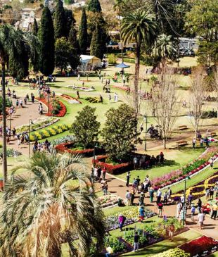 <p><i>Unique things to do</i> in <strong>Toowoomba</strong></p>
