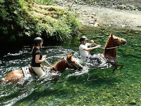 through the Hinterland.