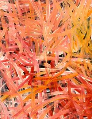 Close-up of a painting by Emily Kame Kngwarreye