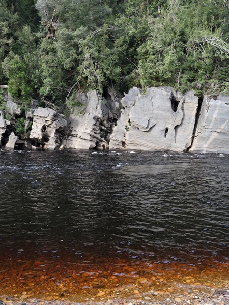 The Franklin River flows dark brown in colour