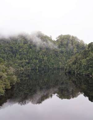 The dark , brooding waters of the Gordon River
