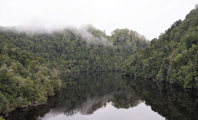 The dark , brooding waters of the Gordon River