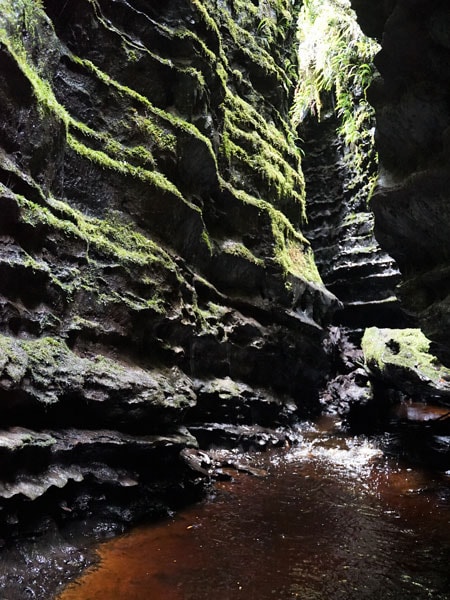Inside the caves of the Franklin River