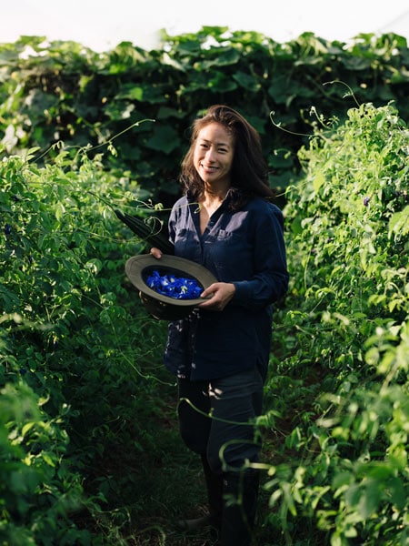 Palisa Anderson at Book Luck Farm
