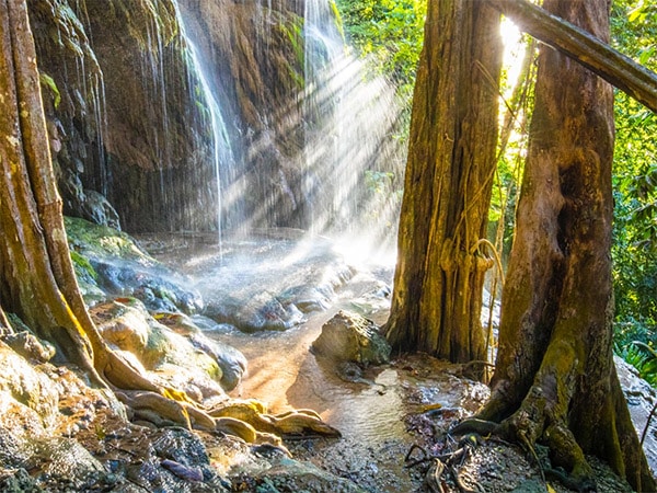 The unique wetland ecosystem of Hughs Dale.