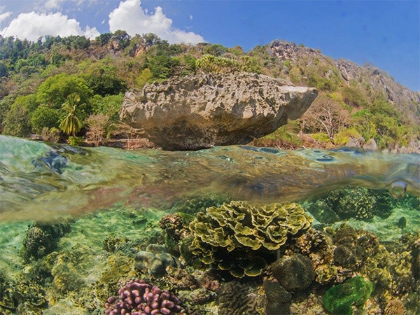 Underneath Flying Fish Cove.