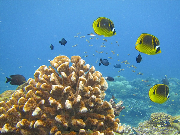 Christmas Island Wet n Dry Adventures