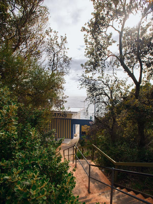Hidden leafy entrance to Wylies Baths in Coogee