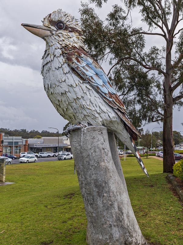 Kurri Kurri Big Kookaburra