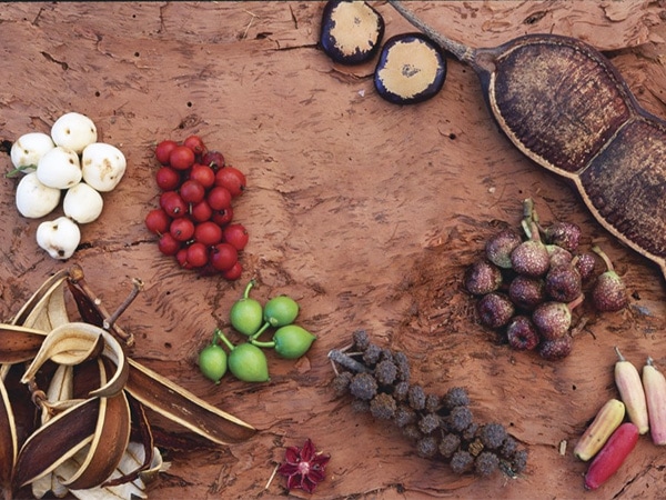 Aboriginal bush tucker.
