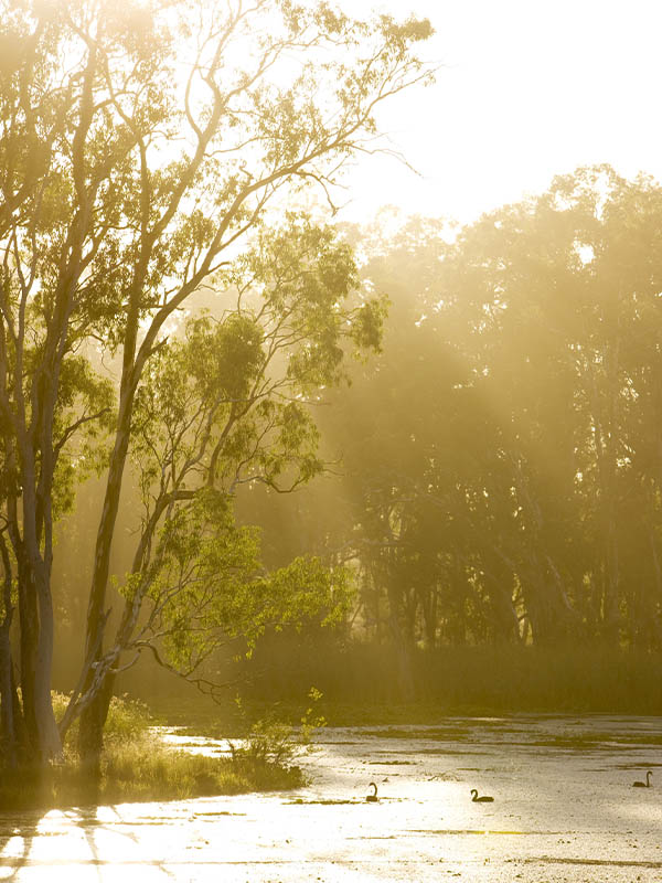 The Goulburn River 