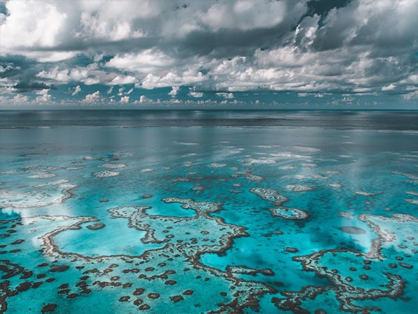 the Great Barrier Reef from above