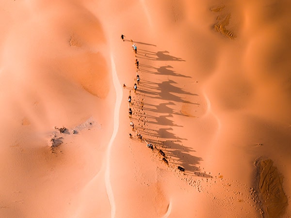 Stockton Bight Sand Dunes, NSW