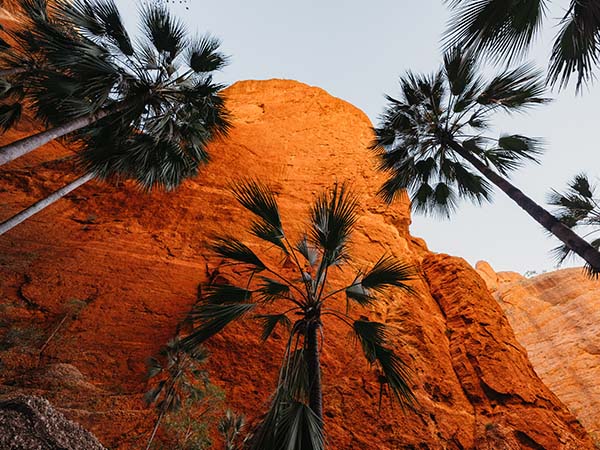Kununurra, Lake Argyle