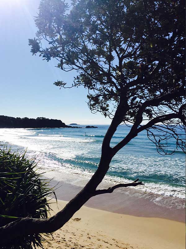Beach view at Gumbaynggirr Country