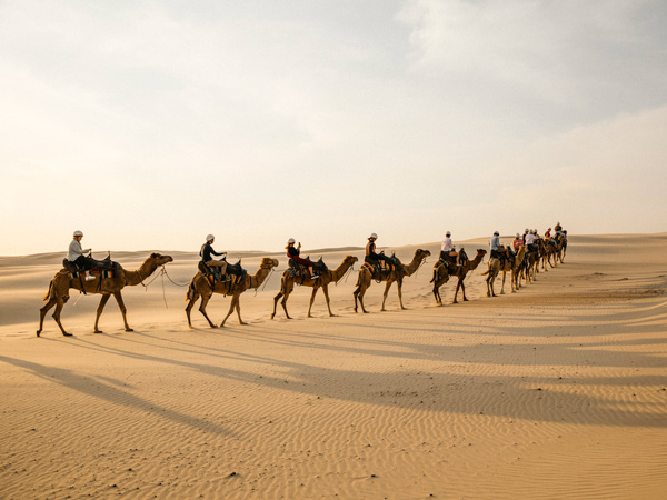 riding camels at Stockton Sand Dunes