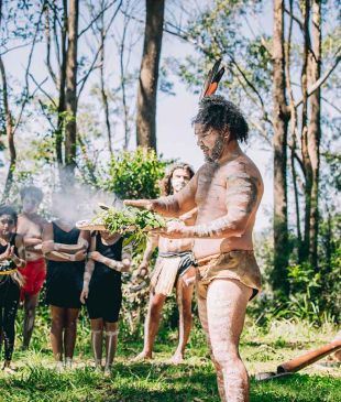<p><i>Discover the Indigenous identity</i> of the <strong>Coffs Coast</strong></p>
