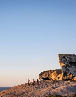 Kangaroo wildernesshero