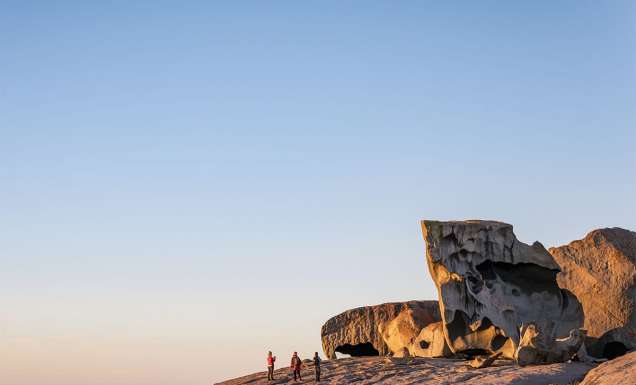 Kangaroo wildernesshero