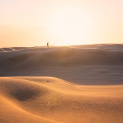 A thrill seeker’s guide to exploring the Stockton sand dunes