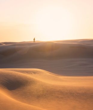 <p><i>A thrill seeker’s guide</i> to exploring the <strong>Stockton</strong> sand dunes</p>
