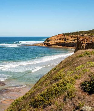 <p><i>The best beaches</i> in <strong>Geelong</strong> &#038; <strong>Bellarine Peninsula</strong></p>
