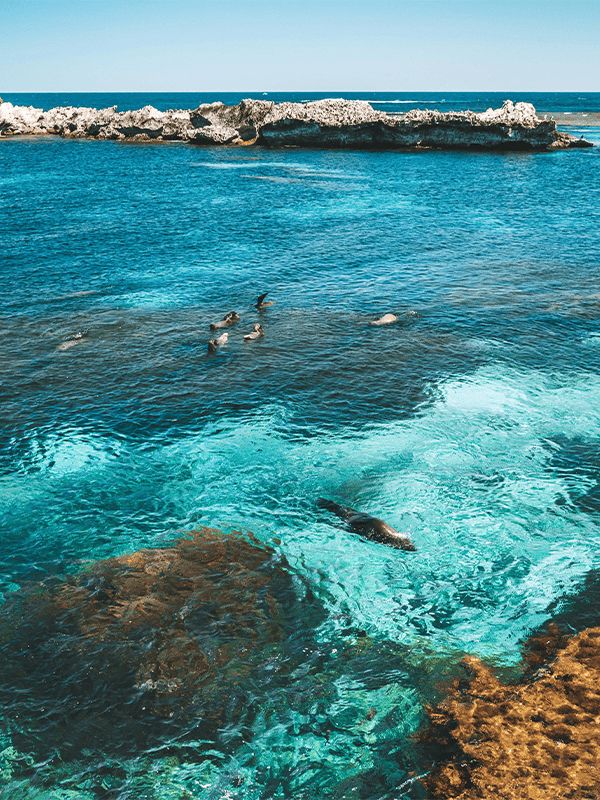 Cathedral Bay Rottnest Island