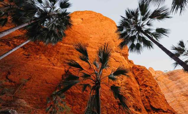 Cooee from Kununurra