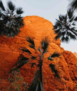 <p><i>The hidden treasures</i> of the outback town of <strong>Kununurra</strong></p>

