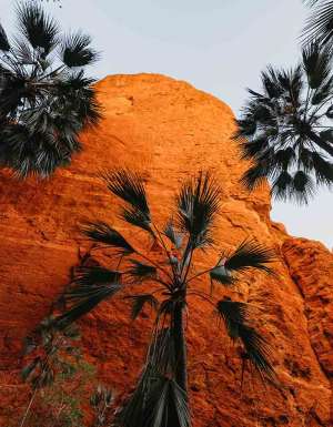 Cooee from Kununurra