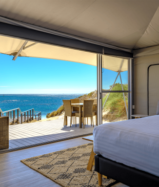 <p><i>The best</i> <strong>Rottnest Island</strong> accommodation for a coastal getaway</p>
