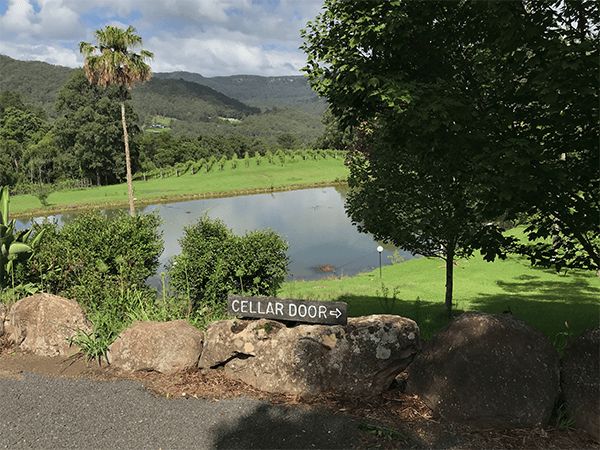 Yarrawa Estate in Kangaroo Valley