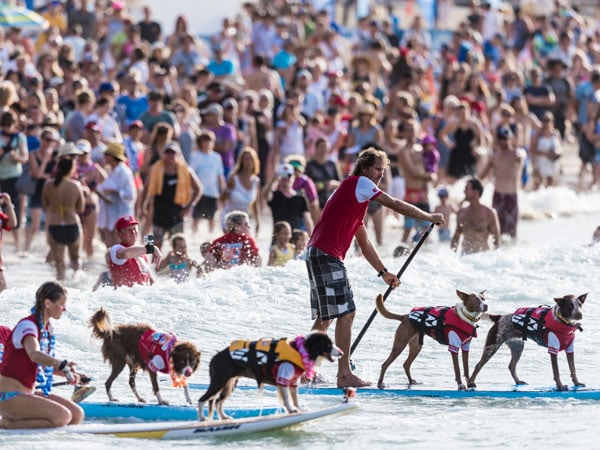 Noosa Festival of Surfing in Queensland