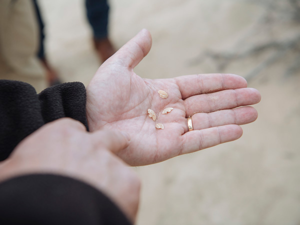 Middens found in Mungo National Park in NSW