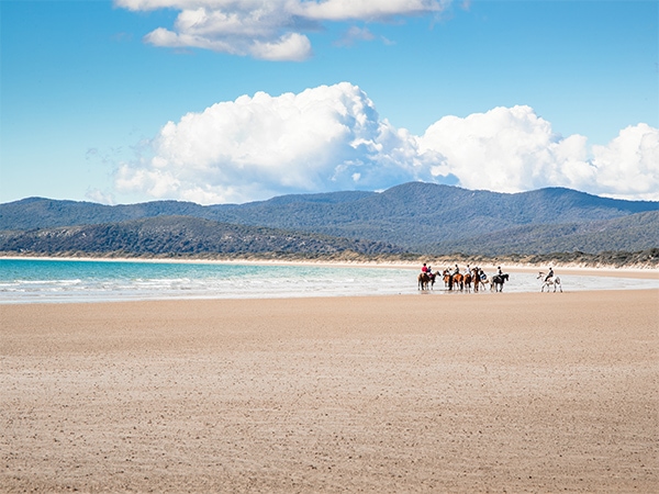 Horse ride while the waters of Bass Strait lap at your feet.
