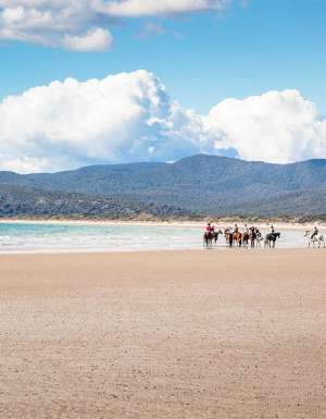 Narawntapu National Park