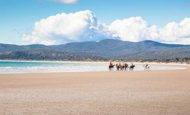 Narawntapu National Park